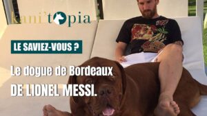 Le dogue de Bordeaux de Lionel Messi