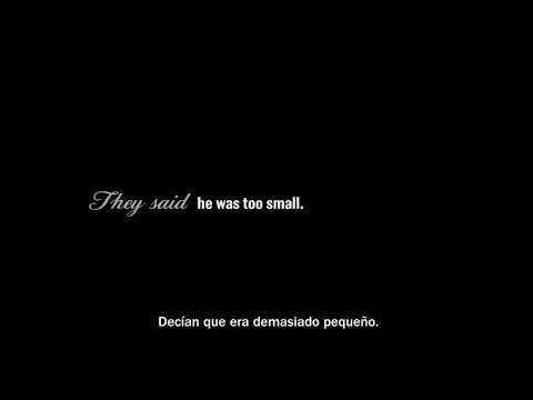 1730807459 hqdefault.jpg