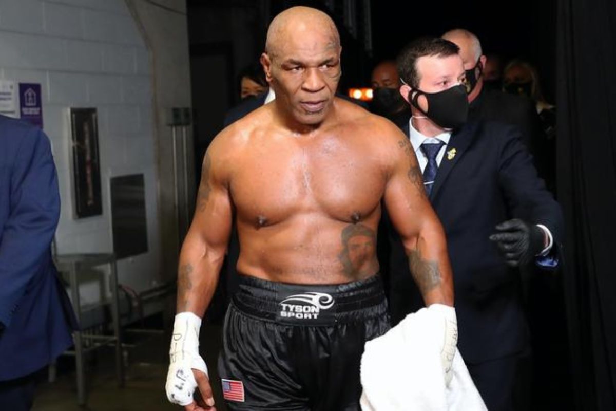 mike tyson a offert plus de 6 millions de fcfa au gardien dun zoo pour le laisser un gorille.jpg