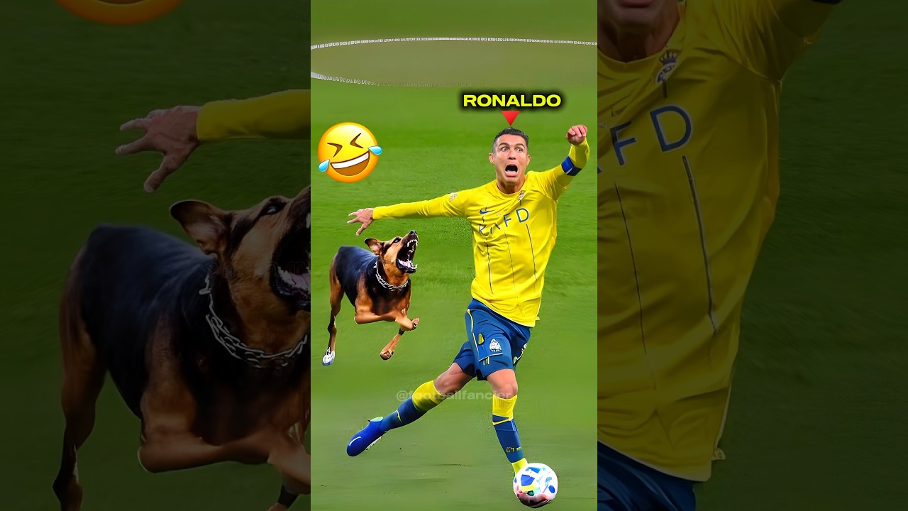 Ronaldo VS Messi VS Salah ð¤£