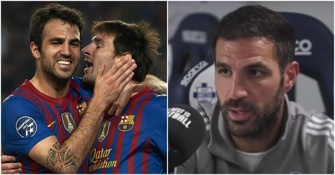 mixcollage 08 jan 2025 12 11 pm 525.jpg