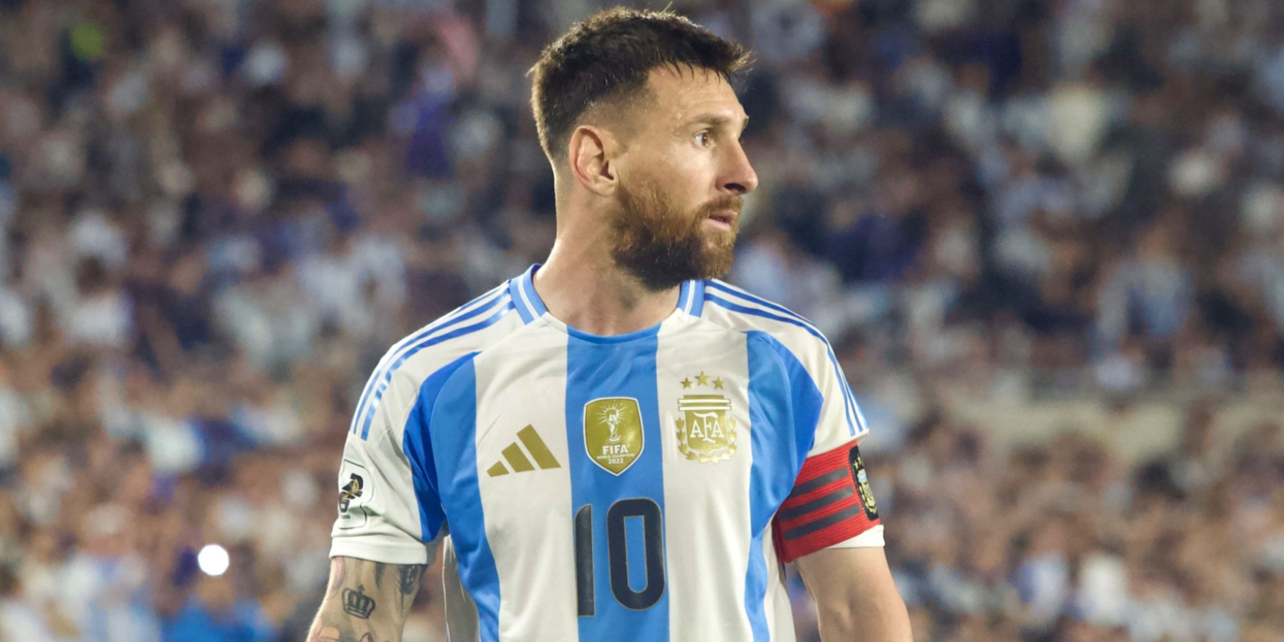 mixcollage 18 dec 2024 07 39 am 7820.jpg