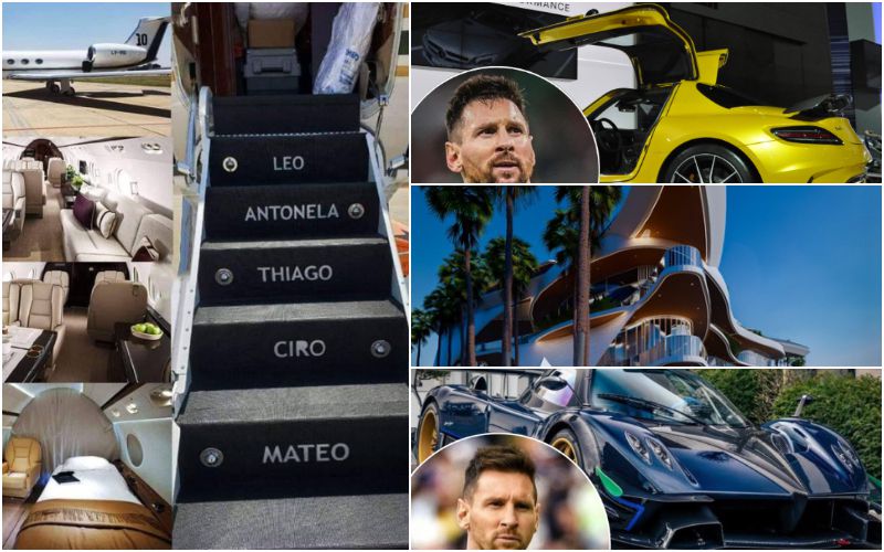 3f704958 ced9 4268 8d50 a2c8ffa8b9ae.jpg