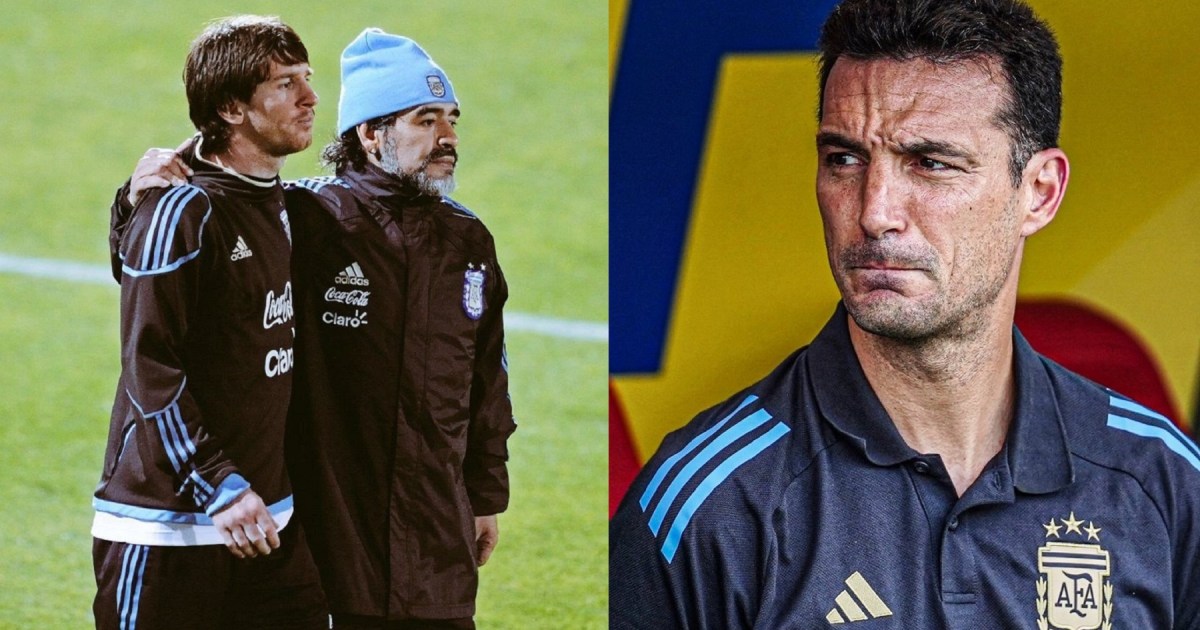 whatsapp image 2025 05 12 at 19 54 38.jpeg