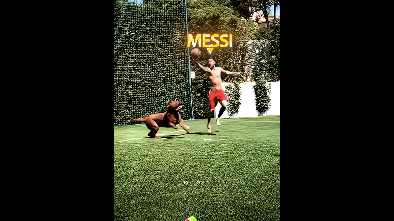 Messi's Hand ðð