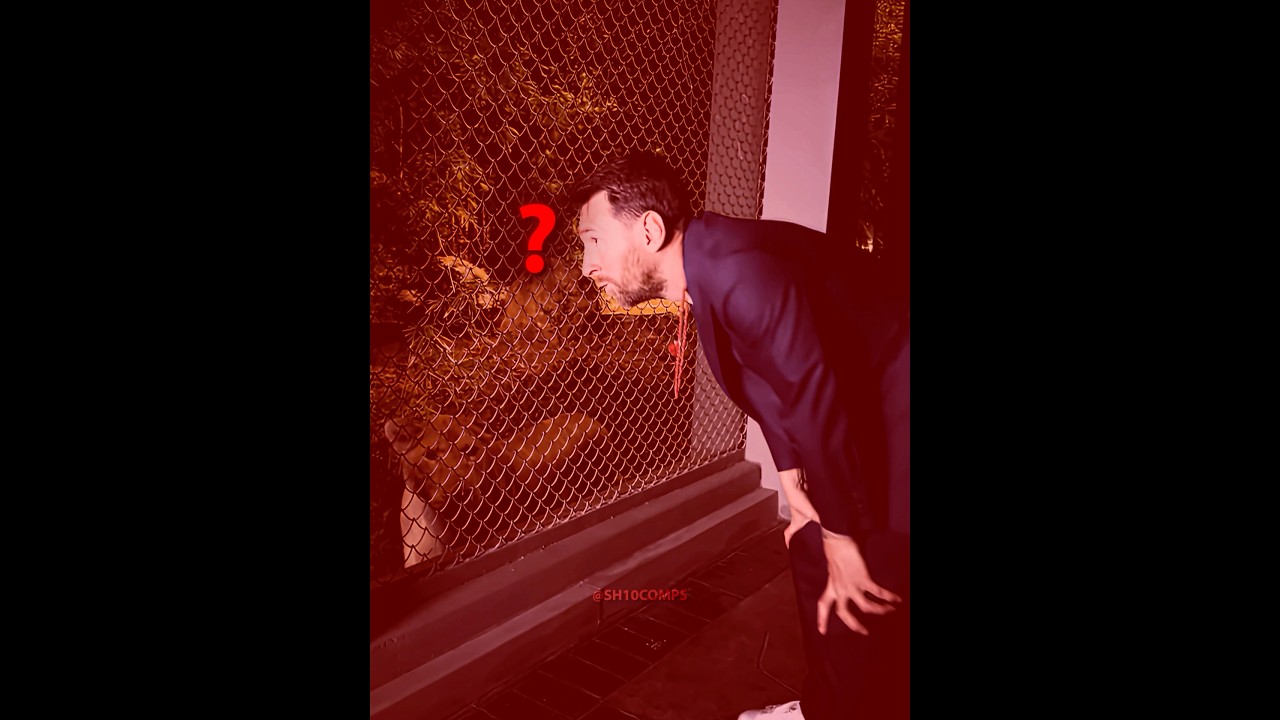 Lion Meets Messi ð¦