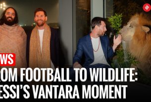 Visite de Lionel Messi à Vantara : joue avec des éléphants sauvés et est témoin des soins à la faune | Anant Ambani