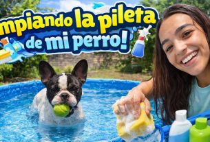 J'ai nettoyé la piscine de mon chien DUKO ANDRES IGNACIO LIONEL MESSI ð¶ð§¼| Plus d'Andrade